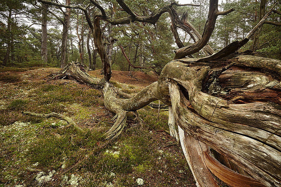 Landschaftsfoto Berge