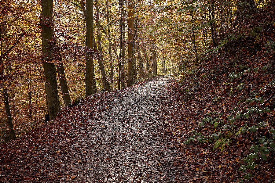 Bergisches Land