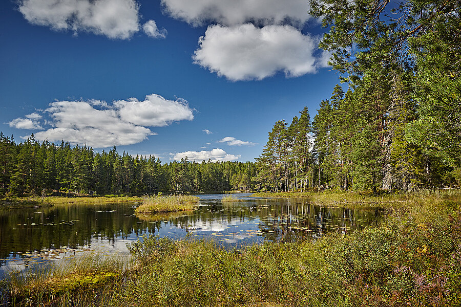 Skandinavien See