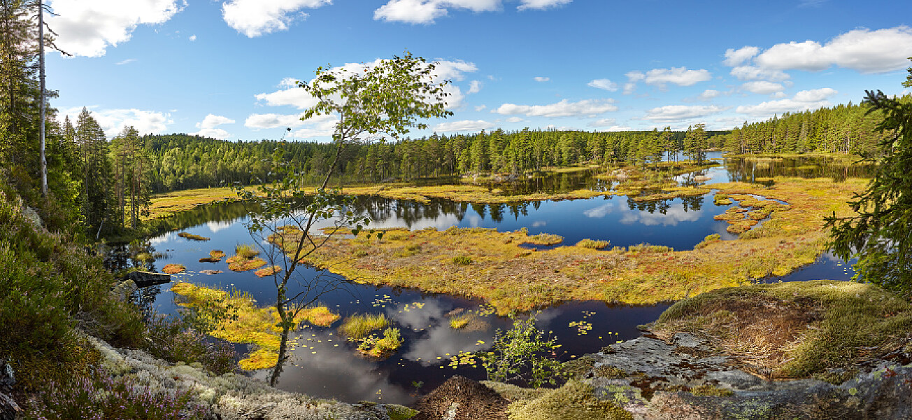 Skandinavien See