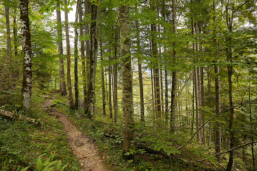 Landschaftsfoto Berge