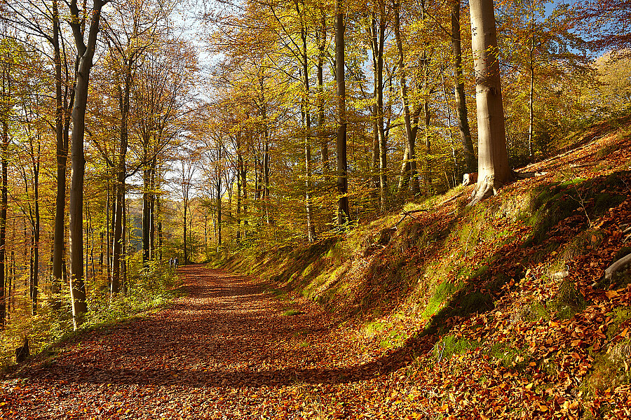 Bergisches Land